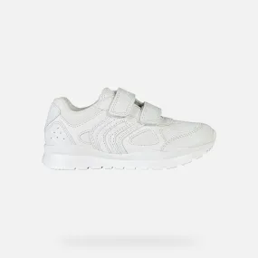 Geox Pavel Sneakers White